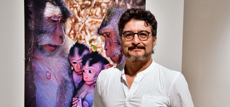 El fotógrafo Rafael Quiroz presentara su exposición de animales silvestres en Cozumel