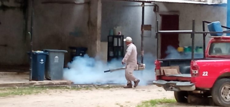 Solicitan a ciudadanos eliminar criaderos de mosquitos