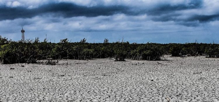 Sequía incrementa 7.5% en Quintana Roo: Conagua