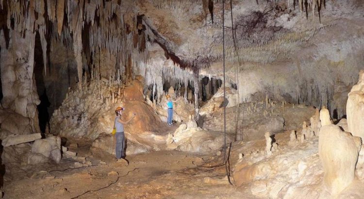Tren Maya arrasará con 70 cavernas en la selva de Quintana Roo