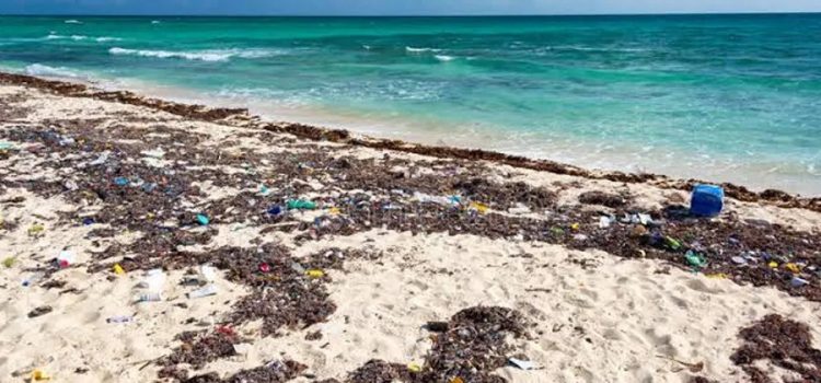 Conceden amparo a hoteleros Riviera Maya por derecho de saneamiento ambiental