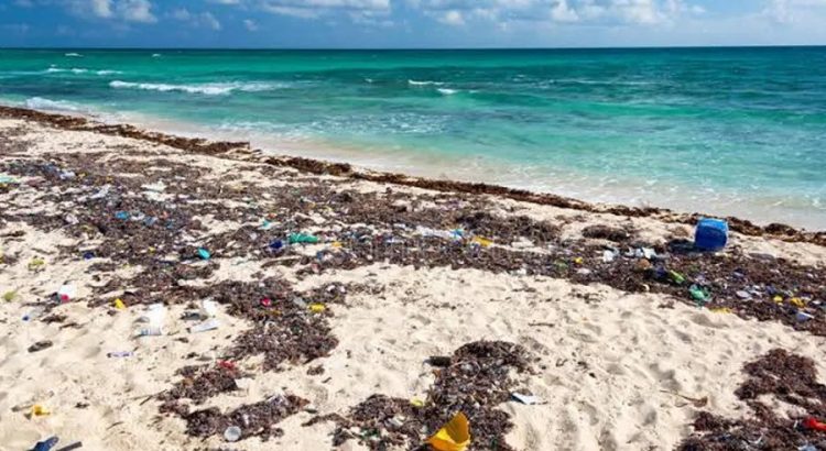 Conceden amparo a hoteleros Riviera Maya por derecho de saneamiento ambiental
