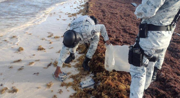 Encuentran cocaína entre el sargazo en playas de Quintana Roo