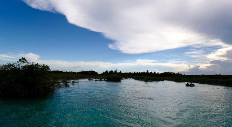 Será Quintana Roo sede nacional del Día Mundial del Medio Ambiente