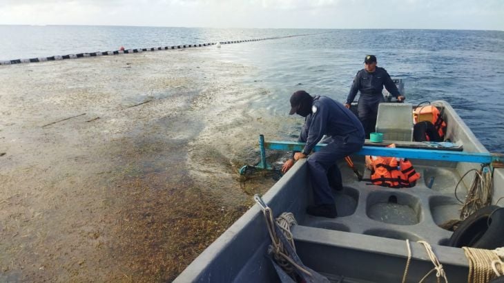 Decretan Gobierno de Quintana Roo y Semar inicio de la temporada de sargazo 2024