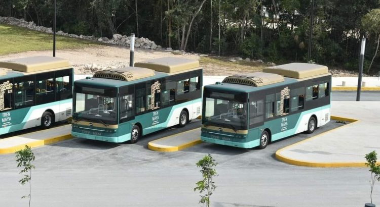 Listos para operar, los autobuses que conectarán el aeropuerto de Cancún con la terminal del Tren Maya