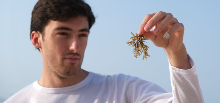 Joven físico busca convertir sargazo en carbono sólido en Playa del Carmen