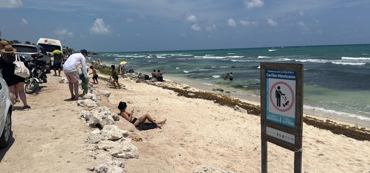 Prestadores de servicios de Tulum solicitan instalar barreras antisargazo más pronto