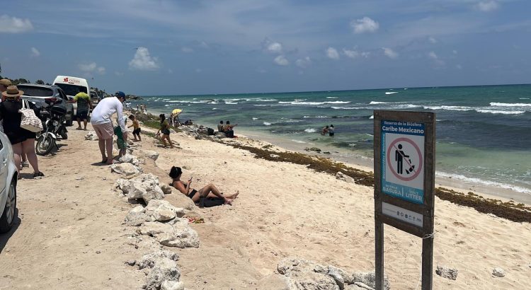 Prestadores de servicios de Tulum solicitan instalar barreras antisargazo más pronto