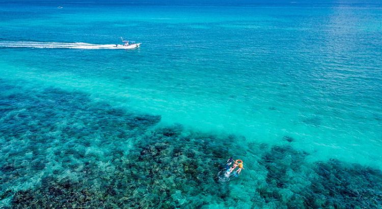 Preocupa a expertos daños del calor en los corales en Quintana Roo