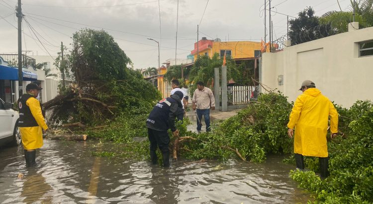 Anuncia Gobernadora casi 37 mdp para atención de la emergencia climática en Chetumal