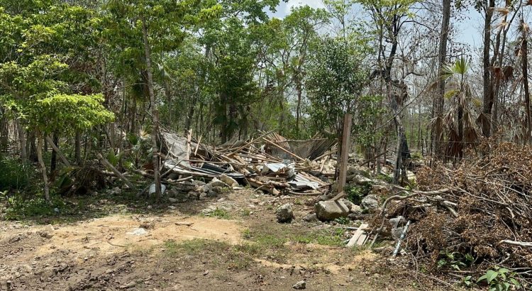 Denuncian invasión de terrenos al sur de Tulum