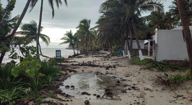 Pescadores de Punta Allen estiman en 30 mdp pérdidas por el huracán ‘Beryl’