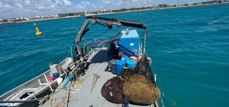 Construirá Semar más buques para combatir arribo de sargazo a las costas de QRoo