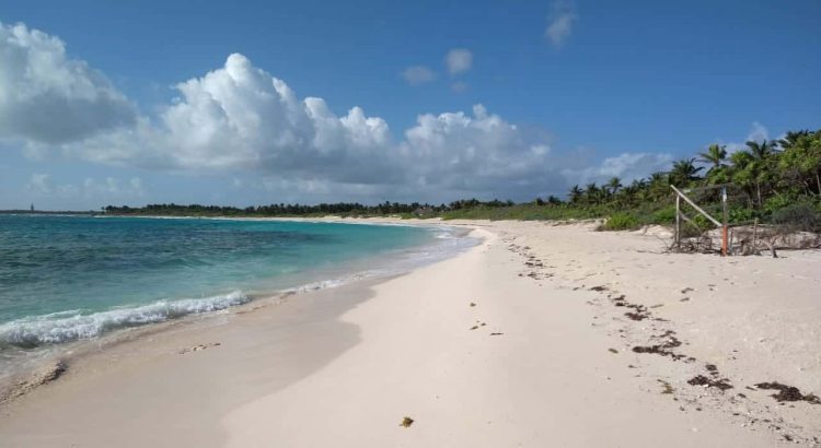 Se está poniendo orden territorial en Quintana Roo: Claudia Sheinbaum