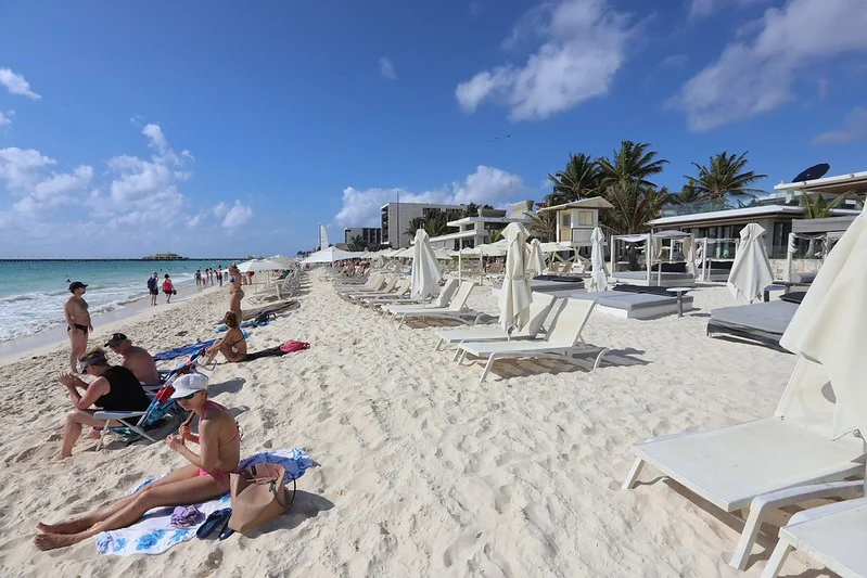 Semarnat tiene bajo consulta pública dos proyectos para Quintana Roo
